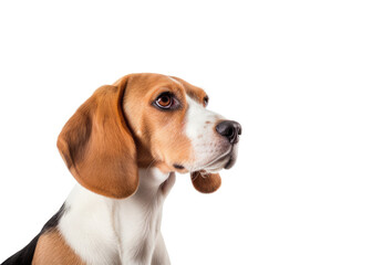 Endearing beagle charm captured in a headshot, isolated on white. Ai Generated.