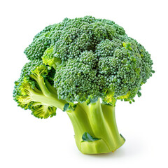 A crisp head of broccoli with florets isolated on a clean white background, Ai Generated.