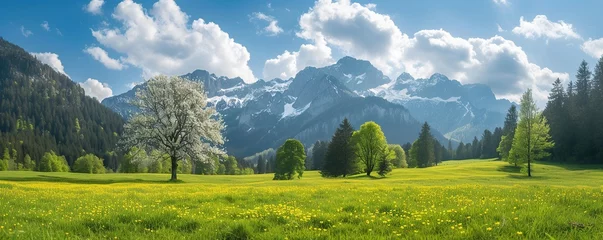  View of meadows and flowers in a mountain valley when the sky is clear © rizky