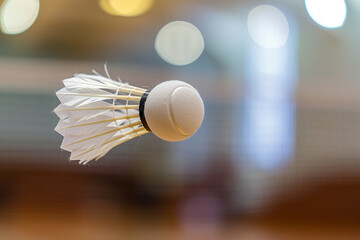 badminton shuttlecock in air - Powered by Adobe