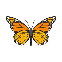 pink butterfly cartoon vector illustration