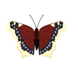 flower butterfly cartoon vector illustration