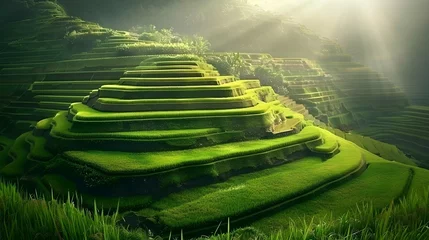 Stof per meter Banaue Rice Terraces - northern Luzon, UNESCO world heritage in Philippines. © PSCL RDL