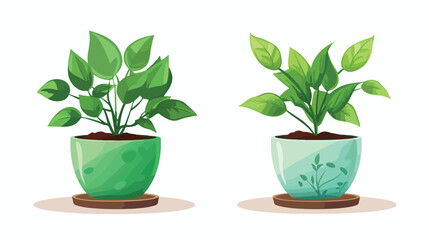 Flowers Pot and Plant Pot Vector Illustration Design
