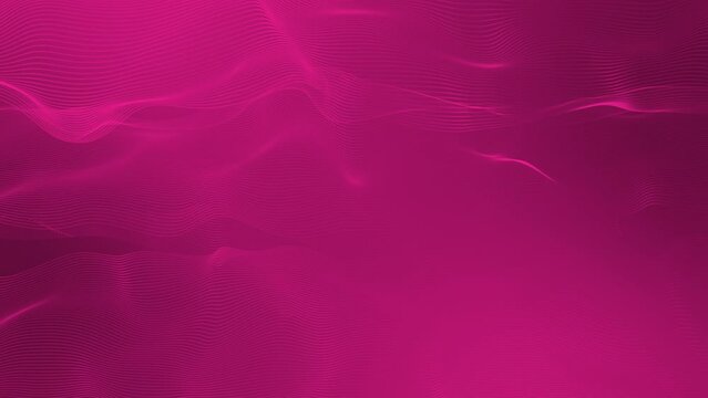 3D modern wave curve abstract professional magenta red color background, wavy pattern design business background
