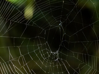 Closeup of an old spiderweb with a green background
