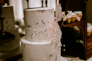 2 Tier wedding cake with romantic moody background