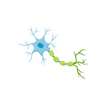 brain neurons cartoon vector illustration