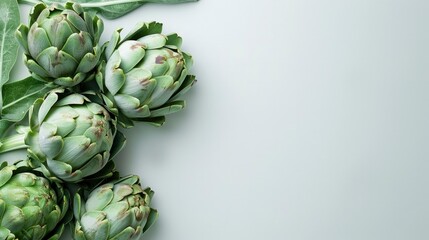 Fototapeta premium Vibrant Green Artichokes. A Fresh Harvest.