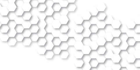 Abstract background with hexagon, modern abstract vector polygonal pattern. Futuristic abstract honeycomb technology white background. Luxury white hexagon pattern.