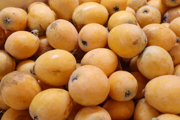 フレッシュな琵琶の実、フルーツ