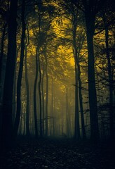 Yellow Glow in the Forest A Mysterious Nighttime Scene Generative AI