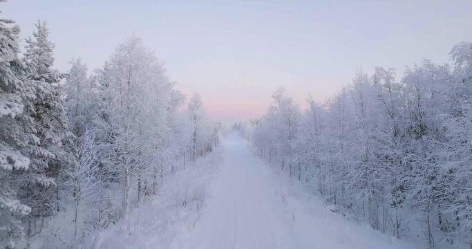 Aerial view of a road in the middle of frosty forest, polar night in Lapland