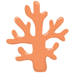 Orange coral