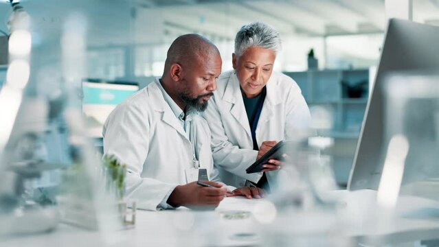 Science, feedback and tablet with computer research and training in botany laboratory. Diversity, teamwork and mentor .with analysis of PhD ecology and internet search for development or innovation