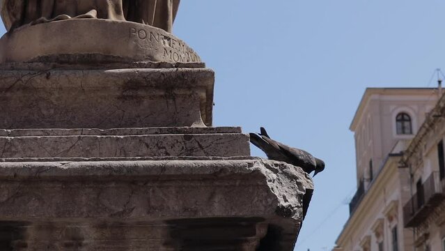 A dove feeding on the wall stone of Palermo Cathedral Italy
