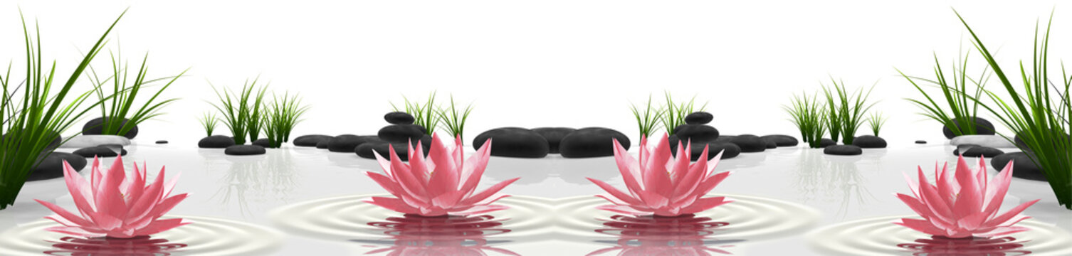 r&oacute;żowe lilie na kamieniach