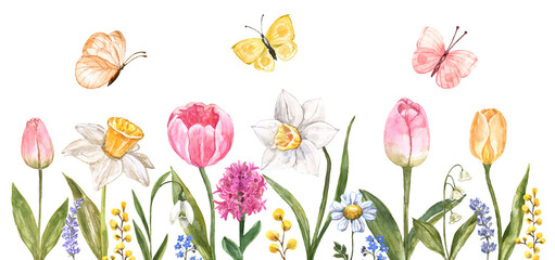 Watercolor floral frame with hand-painted spring flowers - tulips, narcissus, isolated on a white background. Horizontal botanical border with butterflies. Card or invitation template. PNG clipart. - 756244364