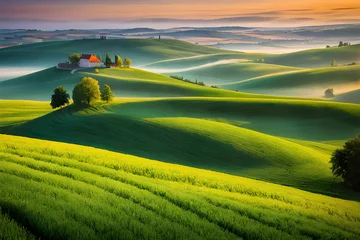 Tuinposter fields in moravian czech republic with beautiful light in the morning © Amir Bajric