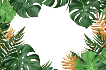Fototapeta na wymiar Banner of green tropical palm leaves Monstera on transparent background