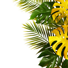 Border frame of yellow and green tropical leaves on transparent background