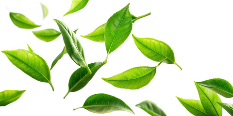 Fresh green tea leaves in motion, arranged in a swirling pattern. Concept of natural and organic tea ingredients for health and wellness.