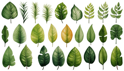  tropical leaves in shades of green with a watercolor effect on a white background.