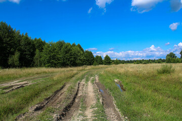 Fototapeta na wymiar Broken dirt road in the field in front of the forest