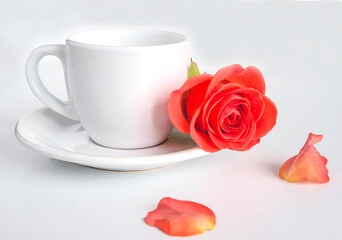 Obraz na płótnie Canvas holiday concept/white cup of coffee and scarlet rose flower on white background