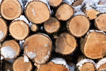 Stacked stacks of firewood. Firewood under the snow. Chopped trunks. background, texture