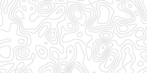 White wave paper topography vector.topography clean modern map of.map background,topographic contours shiny hair,desktop wallpaper,strokes on curved reliefs.
