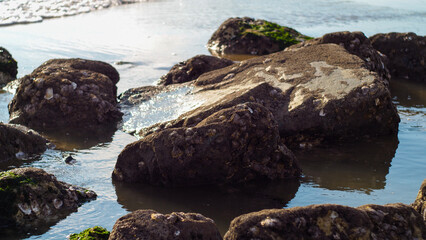 Plage de Pontaillac, Royan