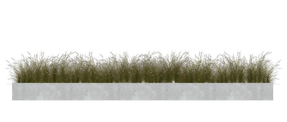 PNG  file of Grass, Plant bush in concrete planter on transparent background.