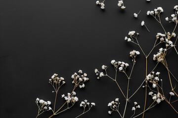 white minimal tiny flowers isolated on copy space black background, White blossoms in black backdrop, Beautiful jasmine flowers blooming, jasmine flowers on black surface, Orchid flower arrangements - obrazy, fototapety, plakaty