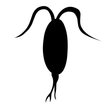 black hydra silhouette on white background clip art preview