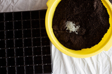 A basin with soil and fertilizer for planting seedlings. Transplanting the plant into special soil