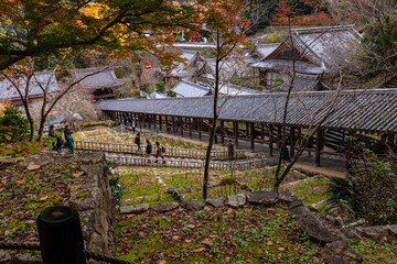 秋の長谷寺