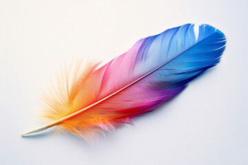 Multicolored feather with a fluffy base on a pristine white background