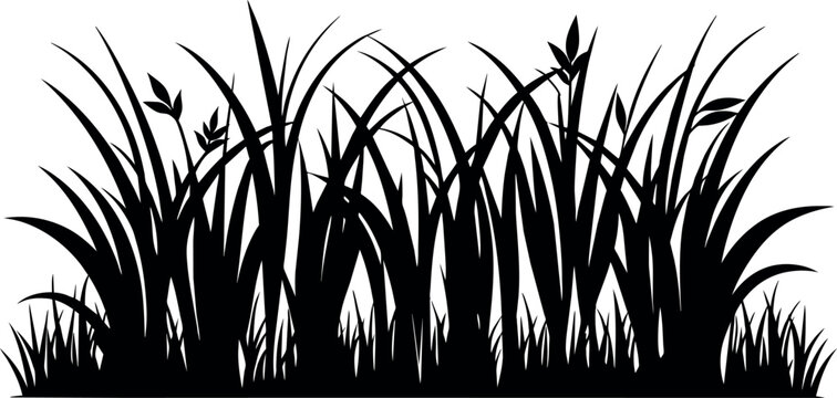 Black silhouettes of grass