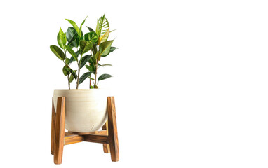 Plant Stands for Modern Interiors On Transparent Background.