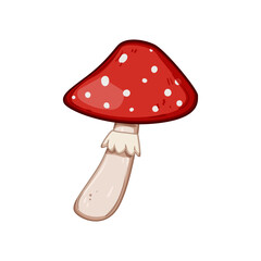 autumn fly agaric cartoon. simple toadstool, moss fungus, watercolor amanita autumn fly agaric sign. isolated symbol vector illustration