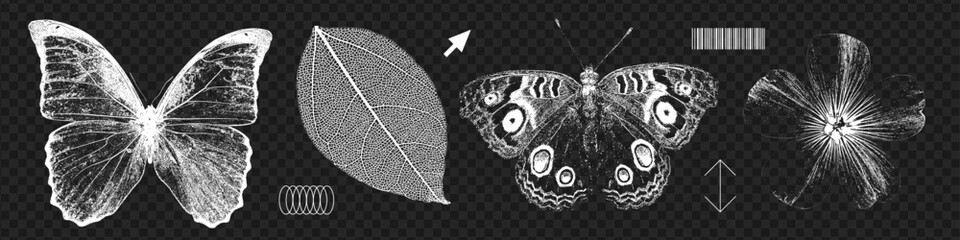 Field flower, leaf and butterflies retro photocopy effect set. Stippling, dotwork pattern 90s vintage images. Vintage negative halftone effect. Vector illustration