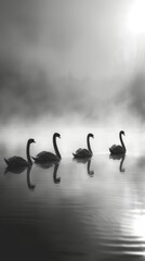 Ethereal Elegance: Swans Gliding in Romantic Contrast generative ai