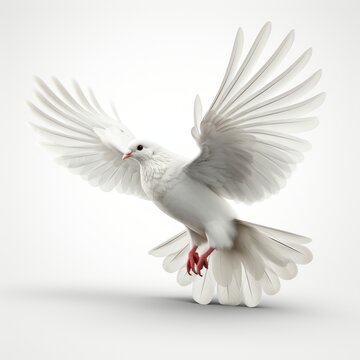 Majestic Dove: High Detail Ultra HD Image of White Dove in Free Flight, White Background generative ai
