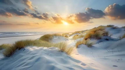 Fototapeten Beautiful dunes beach at sunset, North Sea, Germany  © PSCL RDL
