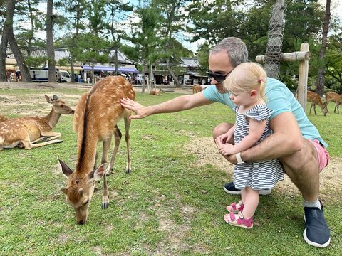 Enfant fille de 1 an et demi et son papa caressant un faon au Japon