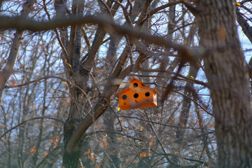 Bird's Nest, bird house hanging on the tree and colorfully painted