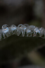 water drops on a glass