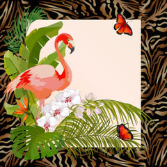 Flamingo in an abstract frame.Vector illustration of an abstract background with flamingos and tropical vegetation.