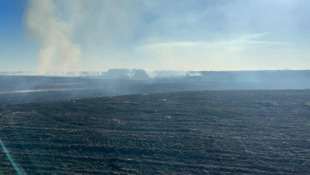 Fire on grass in farm field. Dry Grass Fires due to drought. Hot weather, heatwave. Depletion of water supplies dried land. Fire destroys crops on farm land. Forets burning. Forest fire burns grass
